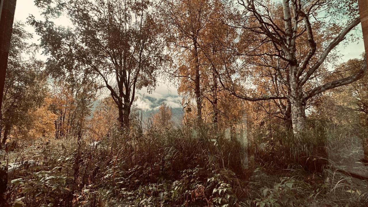 Eagle Peak Guesthouse Eagle River Εξωτερικό φωτογραφία