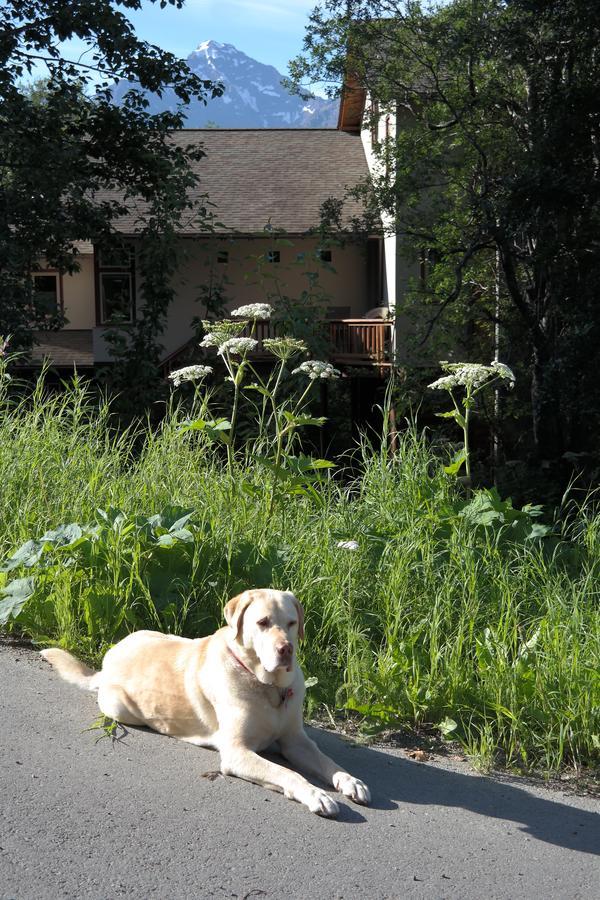 Eagle Peak Guesthouse Eagle River Εξωτερικό φωτογραφία